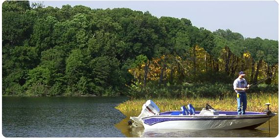 free fishing web template